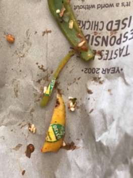 Chipotle Mexican Grill photo #1