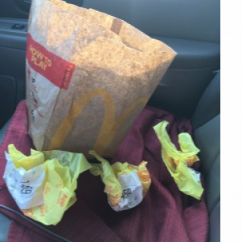 McDonald's, South Howard Avenue, Croswell, MI, USA photo #1