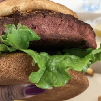 TGI Fridays, East Springs Drive, Madison, WI, USA photo #1