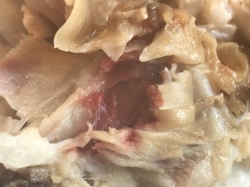Boston Market photo #1 Got Food Poisoning? Report it now Boston Market, photo #1 Got Food Poisoning? Report it now
