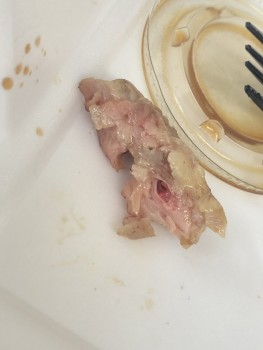 Panda Express photo #1