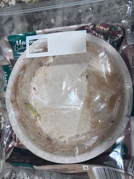 تقرير سلامة الغذاء للمستهلك Walmart Supercenter, South Broadway Avenue, Tyler, Texas, USA A worm found in Maria Callendar Brocco... صورة فوتوغرافية #1