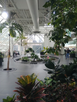 Jugo Juice, 3 Street Southwest, Calgary, AB, Canada صورة فوتوغرافية #1