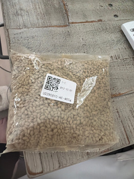 David/LC - Did not order photo #1