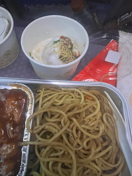 Air India Airline, Flight AI2015, from Delhi to London foto #1