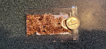 Received unknown seeds photo #1