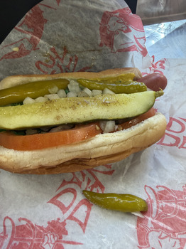 Devil Dawgs on State, South State Street, Chicago, IL, USA photo #1