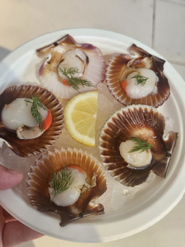 Avis du consommateur - Sécurité alimentaire Mercado do Bolhão, Rua Formosa, Porto, Portugal I got ceviche and scallops from the seafood vendors... photo #1