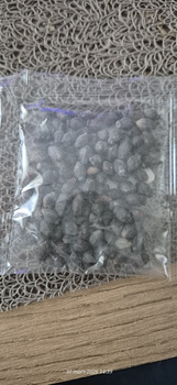 Verbrauchersicherheitsbericht Colis non commandé Je ne sais pas comment m'occuper des graines reçues. Comment je plante les graine... Foto #1