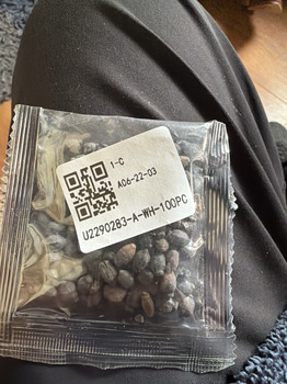 I bought the seeds on line and that’s it! صورة فوتوغرافية #1