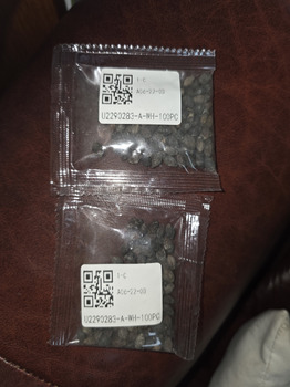 I received seeds I never ordered. Don't know what they are 照片 #1