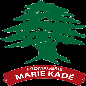 Food Recall Halloom and Nabulsi Semi-Firm Unripened Cheese recalled due to E. coli Fromagerie Marie Kadé and Les... photo #3