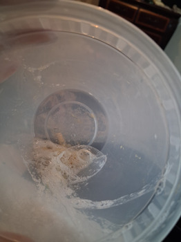 Panola Road, Lithonia, GA, USA photo #1