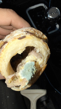 Verbraucherbewertung – Lebensmittelsicherheit Doña Concha Bakery, East Jackson Street, Joliet, Illinois, USA Me vendieron un pan con moho y  lo in... Foto #1