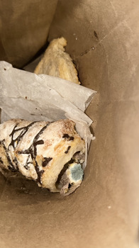 Verbraucherbewertung – Lebensmittelsicherheit Doña Concha Bakery, East Jackson Street, Joliet, Illinois, USA Me vendieron un pan con moho y  lo in... Foto #2