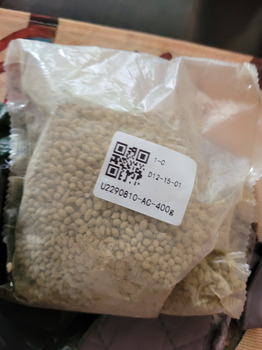 Consumer Safety Report Unordered seeds Did not order these seeds photo #1