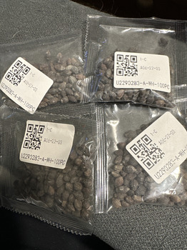 Unordered Abby Adkins seeds photo #1