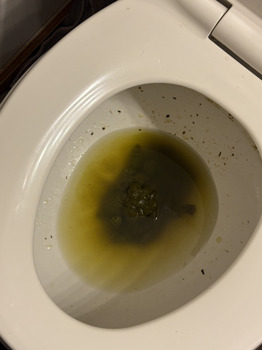 Avaliação do consumidor - Segurança alimentar Springfield, IL, USA Horrible nausea pain diarrhea foto #4