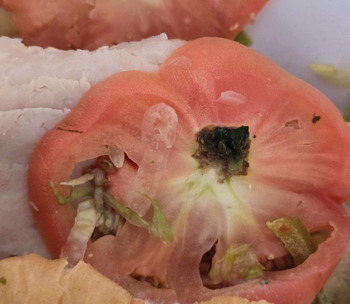 Avis du consommateur - Sécurité alimentaire Wawa, Montour Boulevard, Danville, PA, USA My sister got me a 10 inch sub 4/15/2026 ate it at 10pm f... photo #2