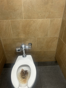 Reseña del consumidor - Seguridad alimentaria Popeyes Louisiana Kitchen, Lake Road, Seville, OH, USA Hi, I am a truck driver. Yesterday for lunch... foto #2