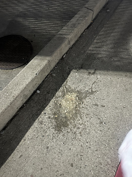 Reseña del consumidor - Seguridad alimentaria Seville, OH, USA Hi, I am a truck driver. Yesterday for lunch I went to the truck stop closest to my... foto #1