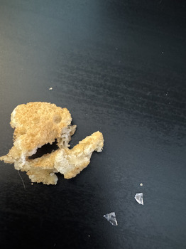 消费者食品安全报告 Food Lion, North Main Street, China Grove, NC, USA Purchased Nature's Own Life Keto Soft White Bread... 照片 #5