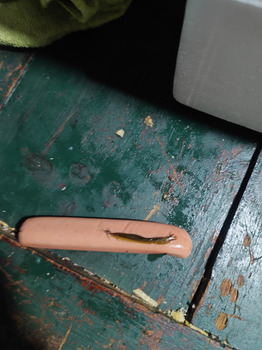 Verbraucherbewertung – Lebensmittelsicherheit Salchicha, Cartago Province, Paraíso, Costa Rica El pasado sábado me salió una pluma de algún animal... Foto #1