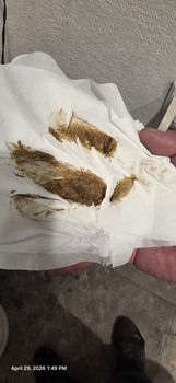 消费者评论 - 食品安全 Sonic Drive-In, West Pine Street, Deming, NM, USA extremely sick throwing up vomiting diarrhea stoma... 照片 #1