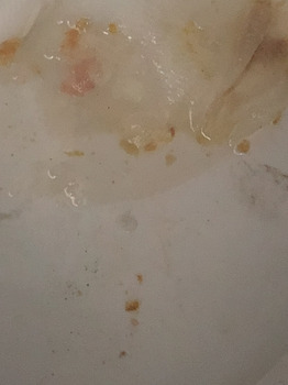 Consumer Review - Food Safety Subway, West Ave SW, Conyers, GA, USA It’s been 2days going on 3days Subway sandwich, food is contam... photo #2
