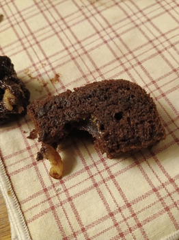 Brownie, Georgetown, KY, USA foto #1