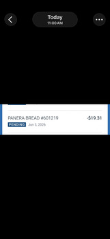 Panera Bread, South Tamiami Trail, Venice, FL, USA صورة فوتوغرافية #1