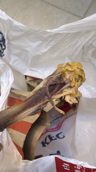 Consumer Review - Food Safety KFC | Kuwait City -Anwar Tower, Kuwait City, Kuwait After eat kfc Stomach pain n vomiting cramps Qua... photo #4