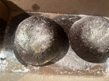 Verbraucherbewertung – Lebensmittelsicherheit Domino's Pizza, East Grand Avenue, Arroyo Grande, CA, USA they sent me moldy lava cakes that I did n... Foto #3