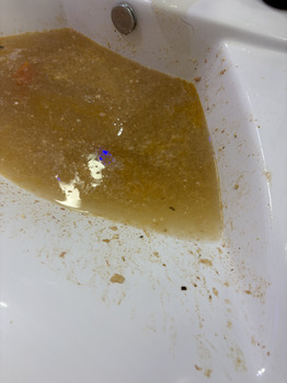 Consumer Review - Food Safety The Duke Hotel, L'Hyvreuse, Guernsey Started to feel not right by mid morning and my stomache/belly... photo #2