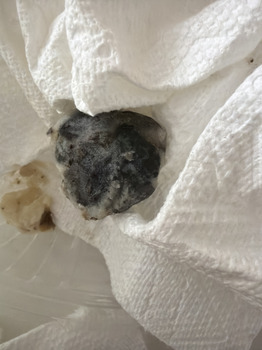 Consumer Review - Food Safety Black-eyed Pea, Crown Crest Boulevard, Parker, CO, USA I got bad food poisoning from Blabk Eyed Zoe’... photo #2