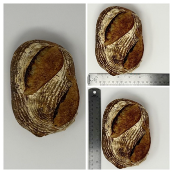 Food Recall Grand Central Bakery Potato Sourdough Bread recalled due to Metal Contamination Grand Central Bakery... photo #4