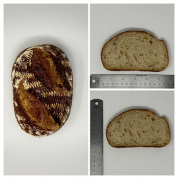 Food Recall Grand Central Bakery Potato Sourdough Bread recalled due to Metal Contamination Grand Central Bakery... photo #3