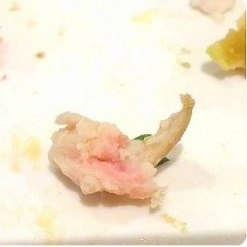 Panera Bread foto #1