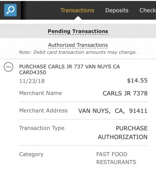 Carl's Jr., Sepulveda Boulevard, Van Nuys, CA, USA photo #1