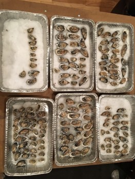 Hog Island Oyster Co., San Francisco, CA, USA photo #1