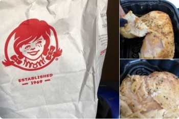 Wendy's, U.S. 301, Riverview, FL 33578, United States photo #1