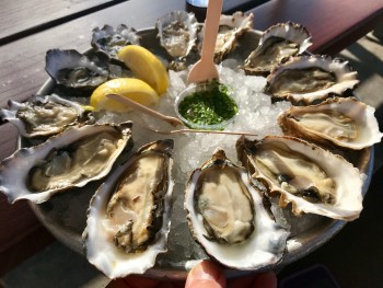 Hog Island Oyster Co, 1st Street, Napa, CA, USA Foto #1