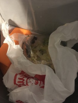 Wendy's, Allentown Road, Camp Springs, MD, USA photo #1