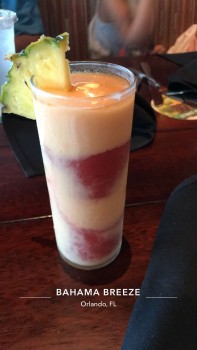 Bahama Breeze, 8849, International Drive, Orlando, Florida, USA foto #1