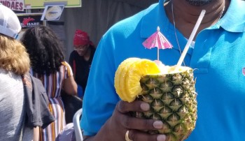 Marietta, GA, USA photo #1