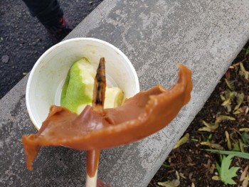 Lagoon Amusement Park, Lagoon Drive, Farmington, UT, USA photo #1