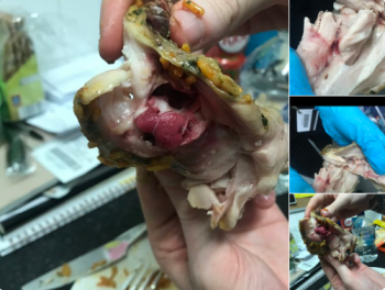 Asda Bromborough Superstore, Welton Rd, Birkenhead, Wirral CH62 3QP, UK photo #1 Got Food Poisoning? Report it now Asda Bromborough Superstore, Welton Rd, Birkenhead, Wirral CH62 3QP, UK, photo #1 Got Food Poisoning? Report it now