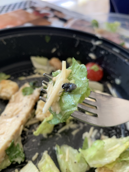 Consumer Review - Food Safety Costco Wholesale, Southwest 120th Street, Miami, FL, USA My boyfriend bought a Cesar's salad from fo... photo #1