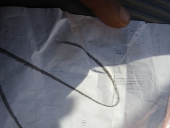 Buffet@Asia, South Eastern Avenue, Las Vegas, NV, USA 照片 #3