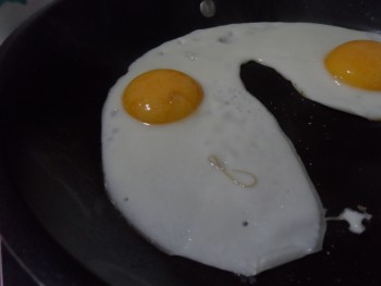 Reseña del consumidor - Seguridad alimentaria AH Ridderhof, Ridderhof, Ridderkerk, Netherlands Bought eggs (on line, from their own Brand) and at... foto #1